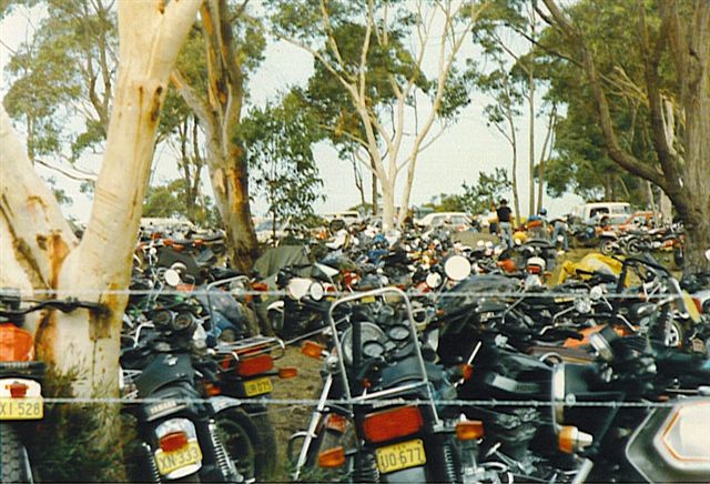 The bikes